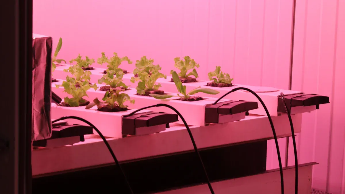 Şaquli böyümək işıqları həqiqətən bitkilərinizin daha yaxşı böyüməsinə kömək edə bilər